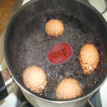 Heat Sensitive Color Changing Perfect Egg Timer for Soft and Hard Boiled Eggs